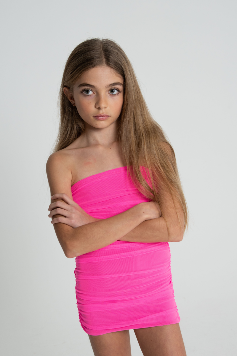 Theme NYC Noemi Dress | Hot Pink
