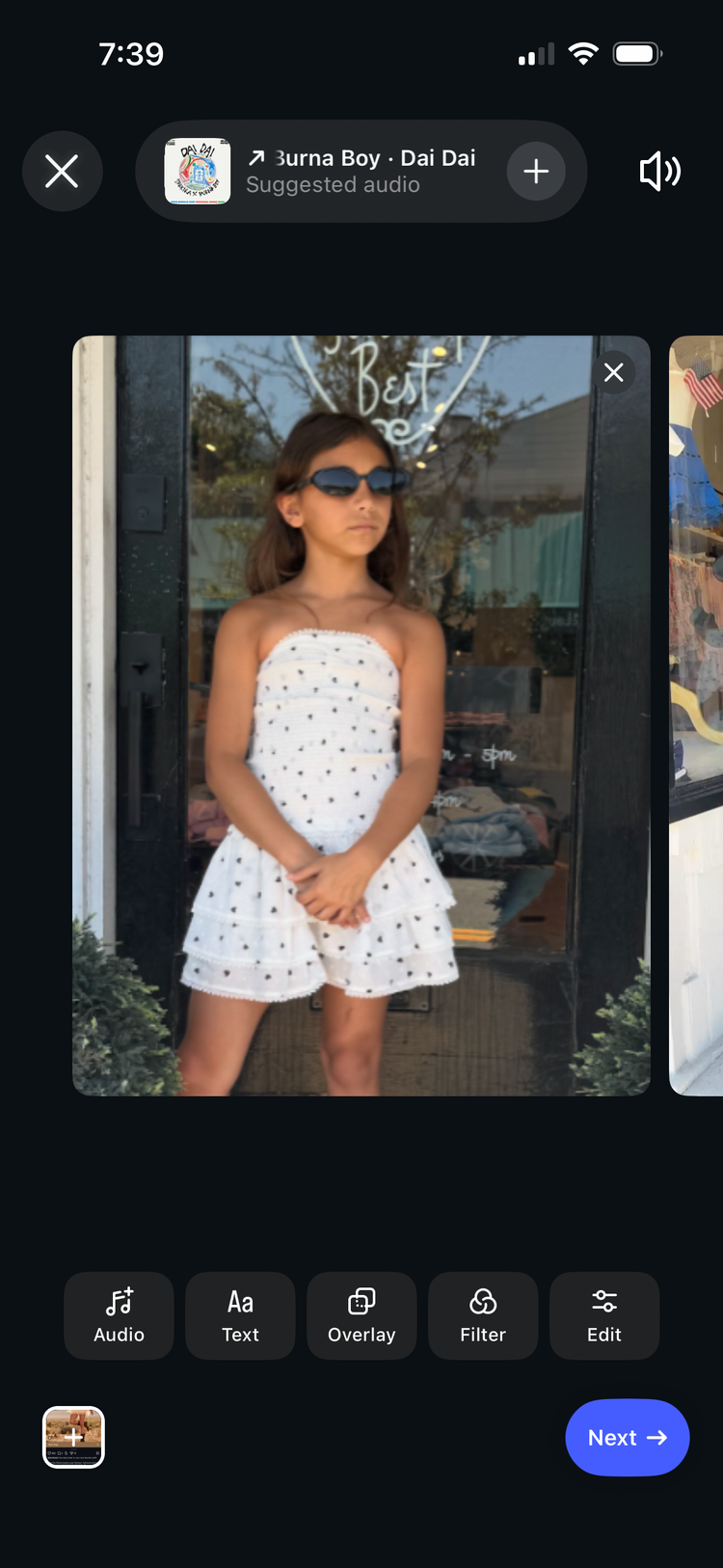 Polka Dots