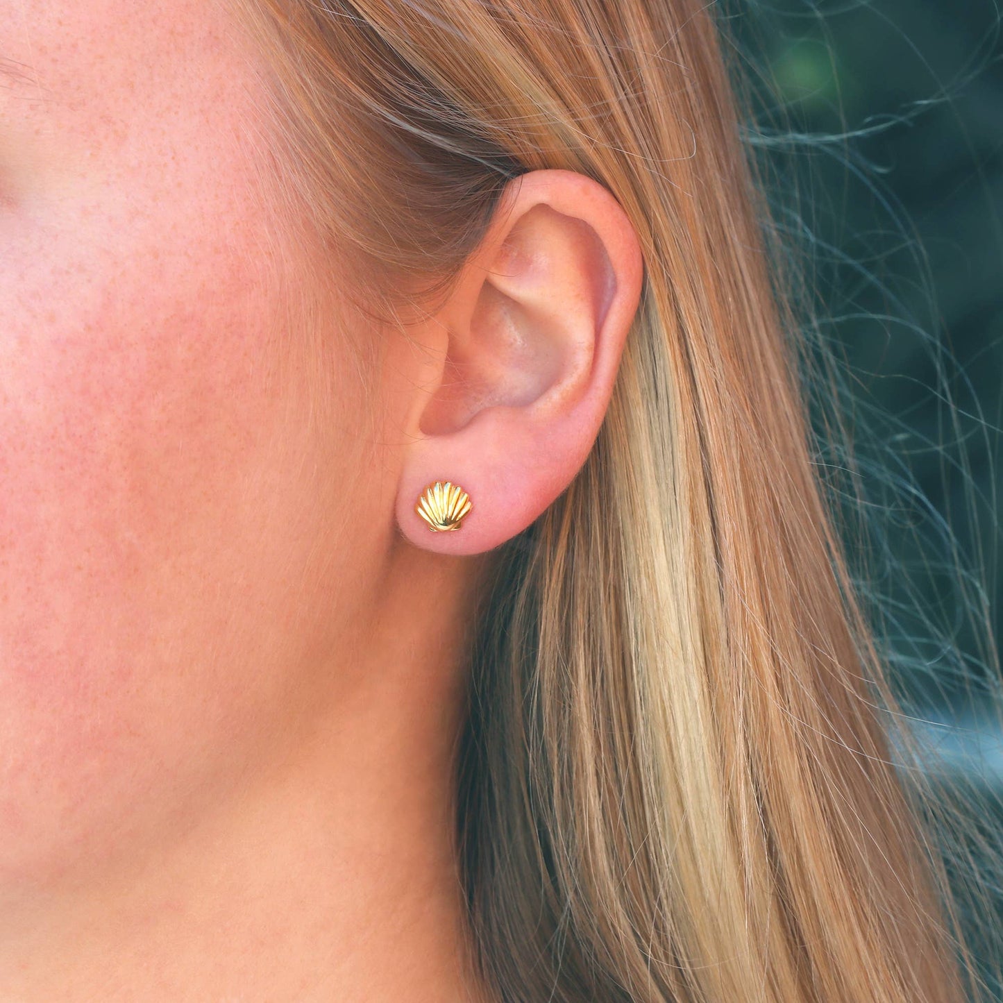 Seashell Stud Earrings: 18K Gold Vermeil