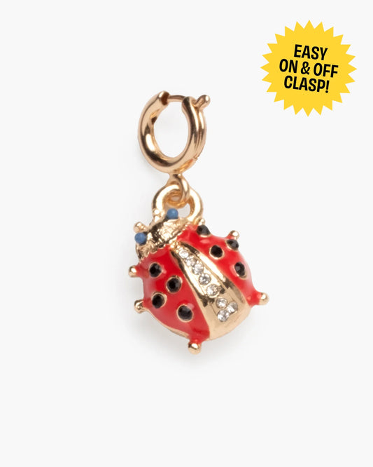 Super Smalls Lucky Ladybug Super Charm