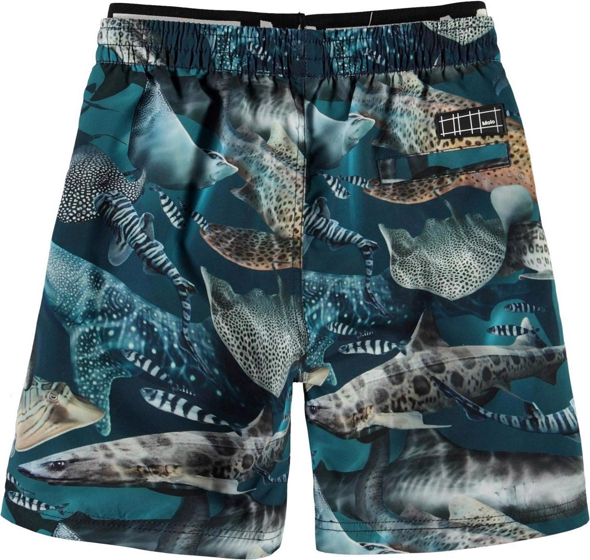 Molo Neal Amazing Sharks Board Shorts